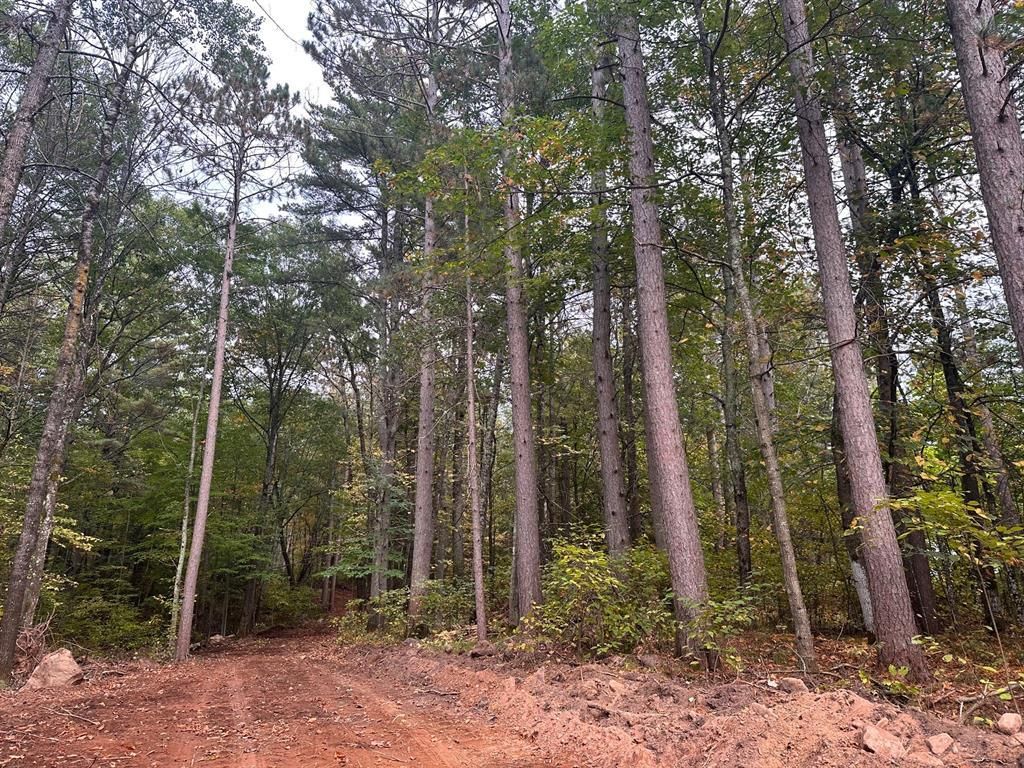 0 Sabin Road, Hayward, WI 54843