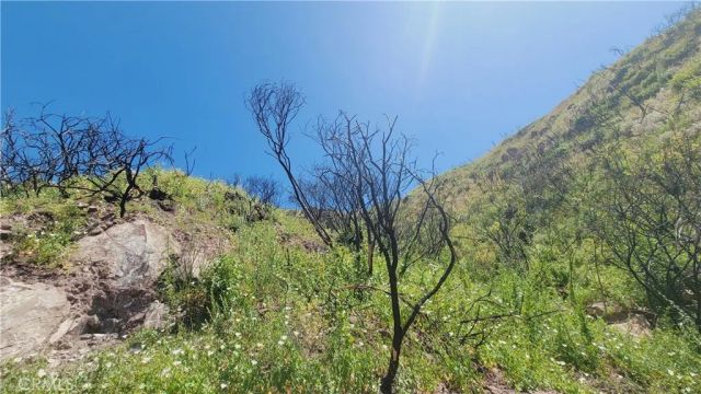 0 Piuma, Malibu, CA 90265