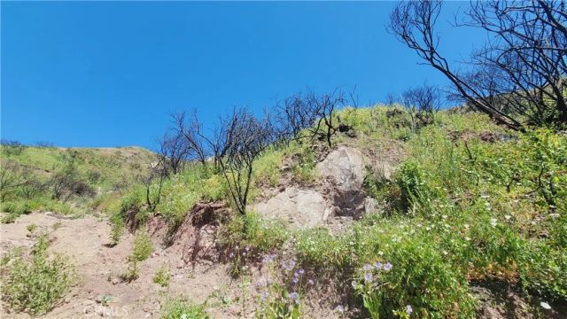 0 Piuma, Malibu, CA 90265