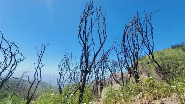 0 Piuma, Malibu, CA 90265