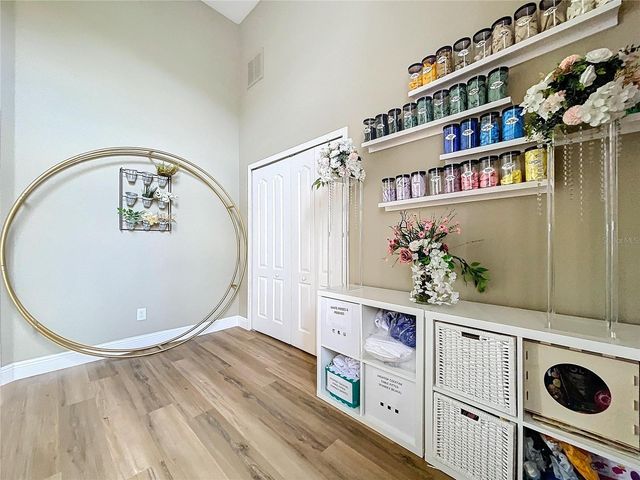 26848 SHOREGRASS DRIVE, Wesley Chapel, FL 33544