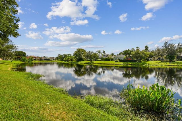 26848 SHOREGRASS DRIVE, Wesley Chapel, FL 33544