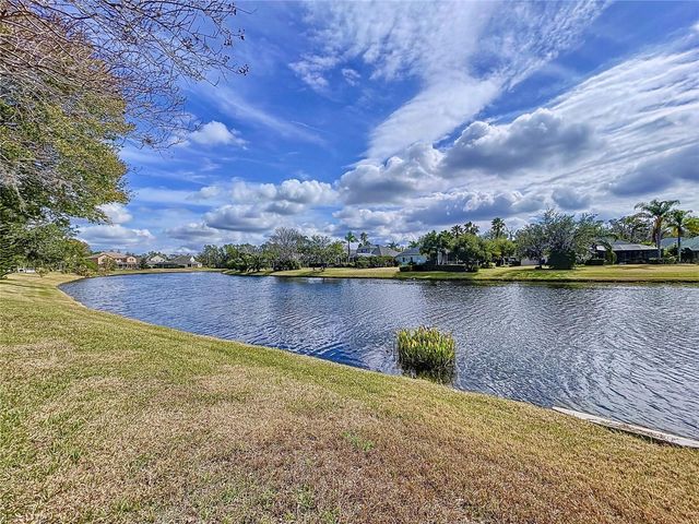 26848 SHOREGRASS DRIVE, Wesley Chapel, FL 33544