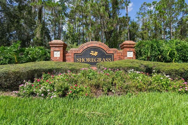 26848 SHOREGRASS DRIVE, Wesley Chapel, FL 33544