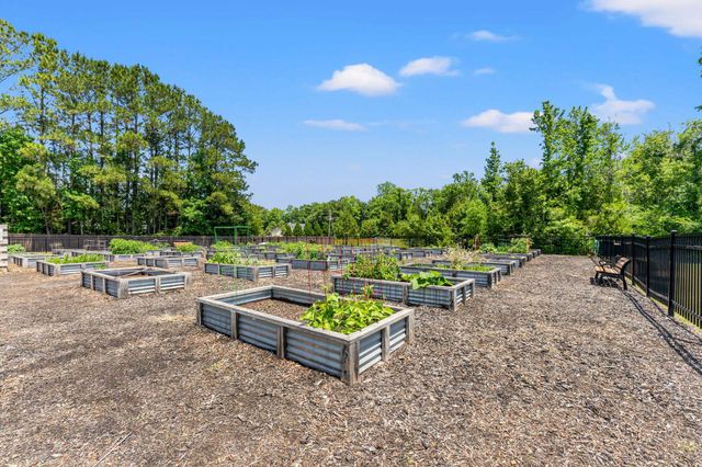 276 Cypress Tree Loop, Longs, SC 29568