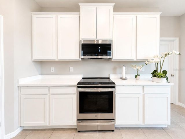 10345 BRIDGEGATE HEIGHTS LOOP, San Antonio, FL 33576