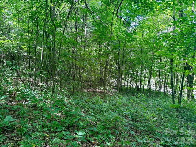 35 Flying Hawk Way, Clyde, NC 28721