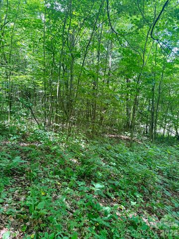 35 Flying Hawk Way, Clyde, NC 28721