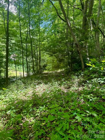 35 Flying Hawk Way, Clyde, NC 28721