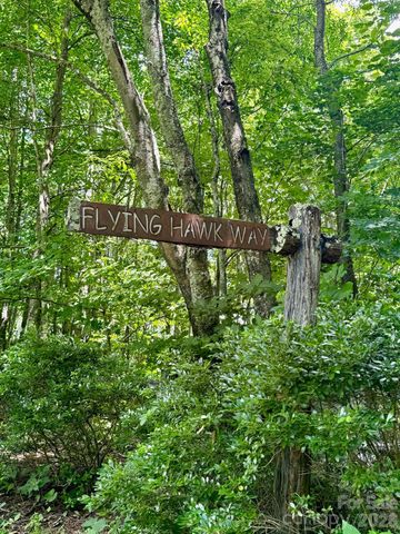 35 Flying Hawk Way, Clyde, NC 28721