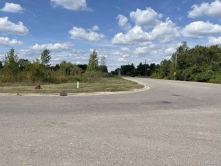Vacant Land Grand River Avenue, Update, MI 48836