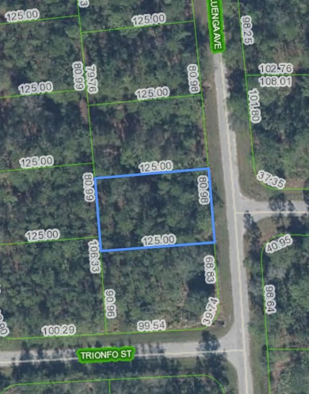 5119 LUENGA AVENUE, Sebring, FL 33872