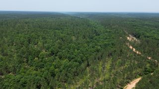 0 Salem Rd, Centerville, TN 37033