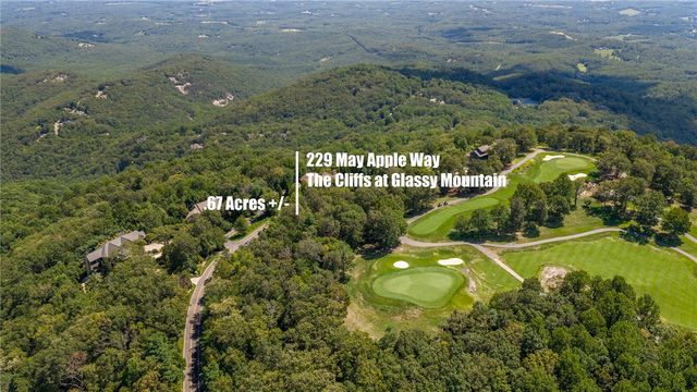 229 May Apple Way, Landrum, SC 29356