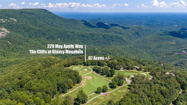 229 May Apple Way, Landrum, SC 29356