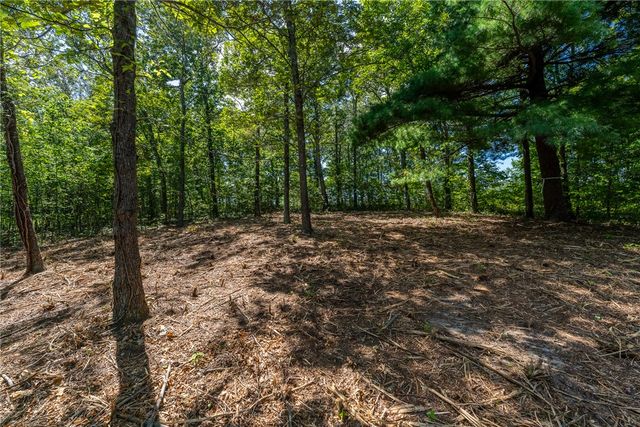 229 May Apple Way, Landrum, SC 29356