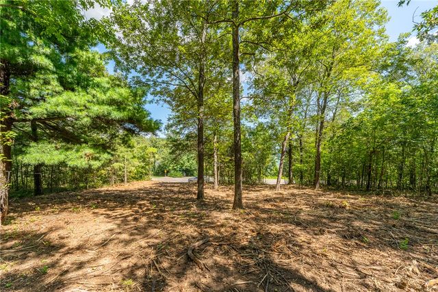 229 May Apple Way, Landrum, SC 29356