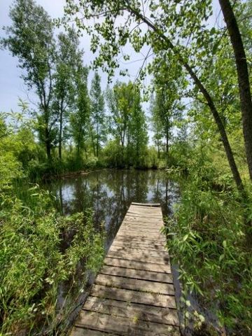 1120 S Loomis Road, Mount Pleasant, MI 48858