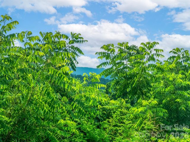 647 Town Mountain Road 309, Asheville, NC 28804