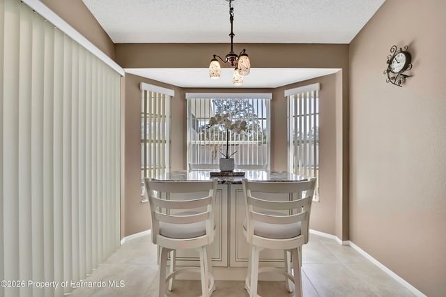 1424 Pinewood Hills Court, Spring Hill, FL 34606