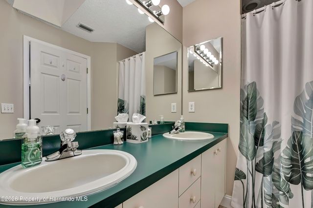 1424 Pinewood Hills Court, Spring Hill, FL 34606