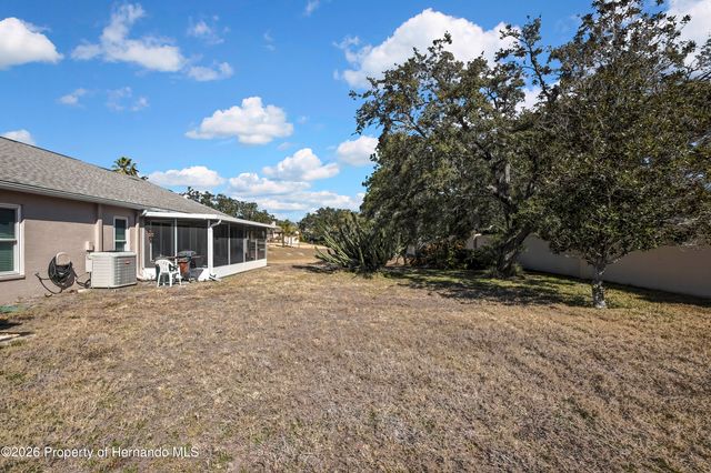 1424 Pinewood Hills Court, Spring Hill, FL 34606