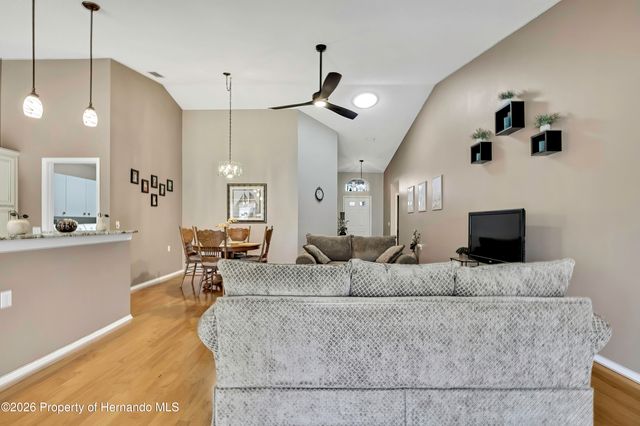 1424 Pinewood Hills Court, Spring Hill, FL 34606