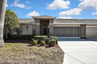 1424 Pinewood Hills Court, Spring Hill, FL 34606