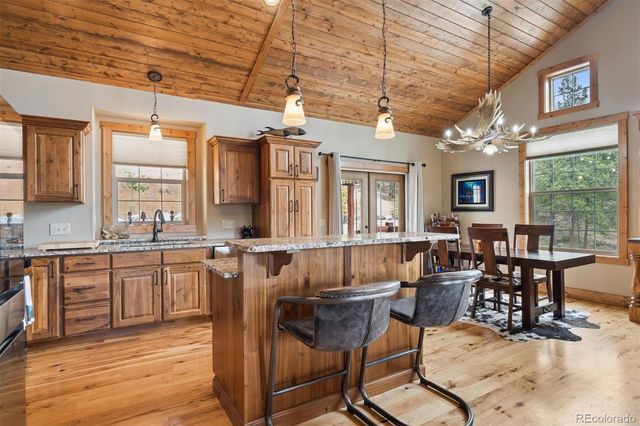 2894 County Road 43, Bailey, CO 80421