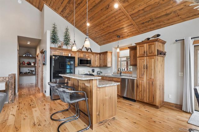 2894 County Road 43, Bailey, CO 80421
