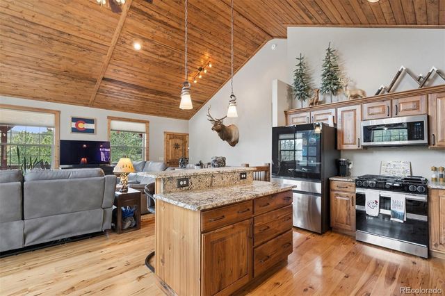 2894 County Road 43, Bailey, CO 80421