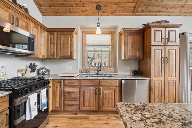 2894 County Road 43, Bailey, CO 80421