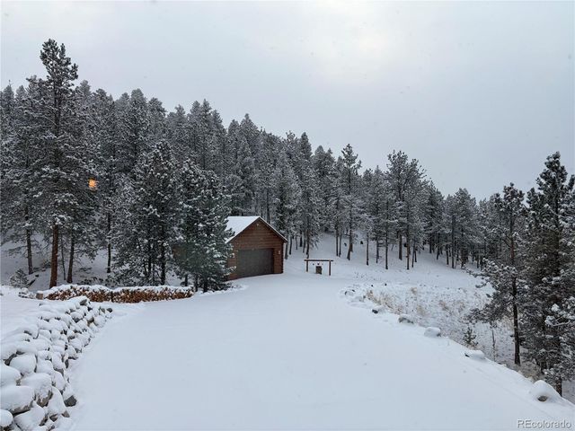 2894 County Road 43, Bailey, CO 80421