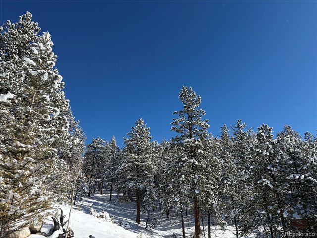 2894 County Road 43, Bailey, CO 80421
