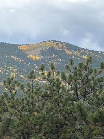 2894 County Road 43, Bailey, CO 80421