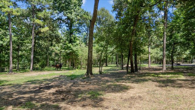 9698 Pioneer Trace, Conroe, TX 77303