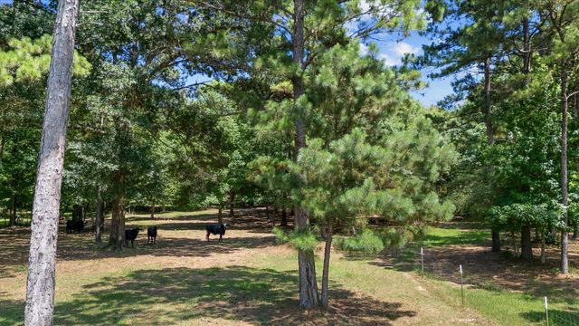 9698 Pioneer Trace, Conroe, TX 77303
