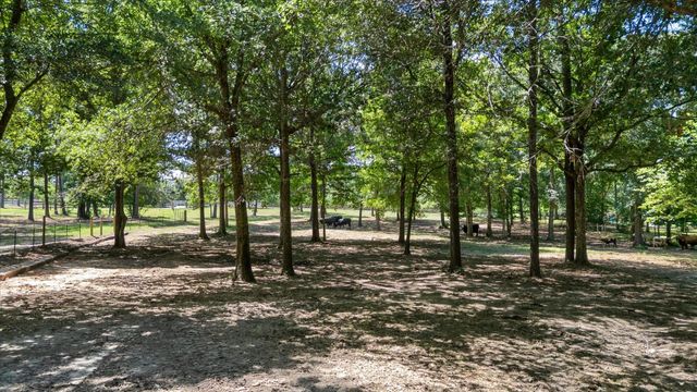 9698 Pioneer Trace, Conroe, TX 77303