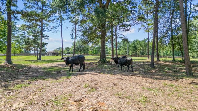 9698 Pioneer Trace, Conroe, TX 77303