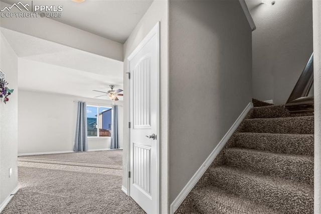 6492 Tillamook Drive, Colorado Springs, CO 80925