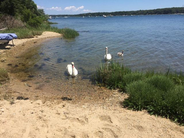 94 Weaver Lane, Tisbury, MA 02568