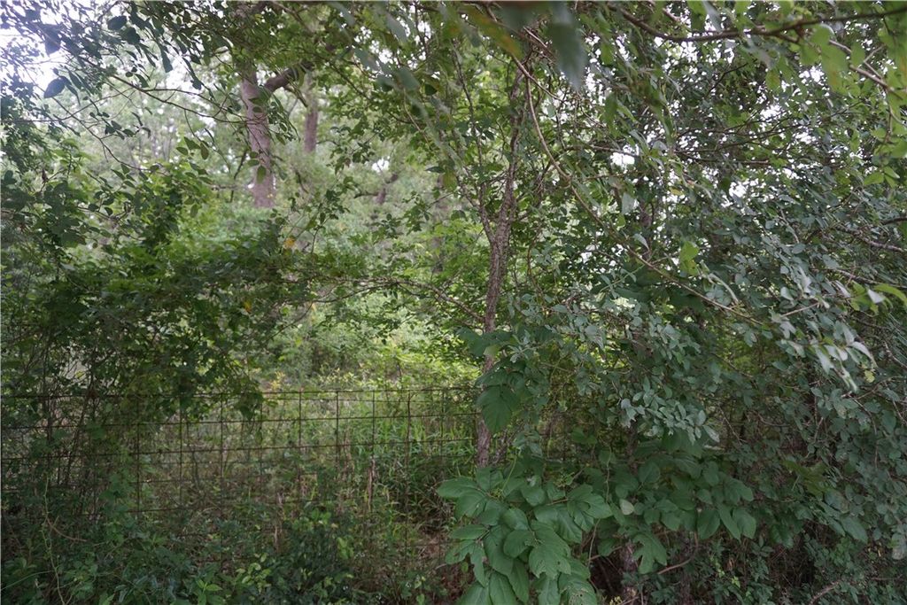 TBD Berry Creek Drive, Caldwell, TX 77836 — exterior