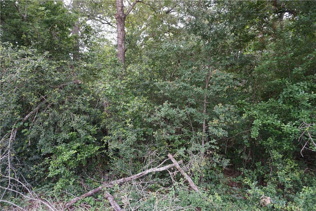 TBD Berry Creek Drive, Caldwell, TX 77836 — photo 2