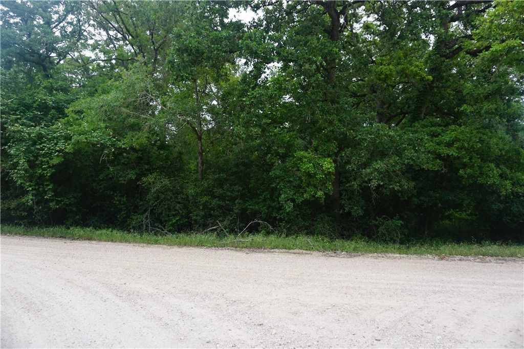 TBD Berry Creek Drive, Caldwell, TX 77836 — photo 3