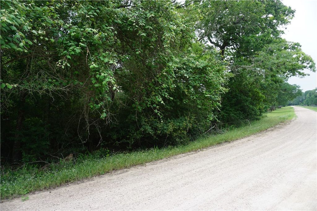 TBD Berry Creek Drive, Caldwell, TX 77836 — photo 5