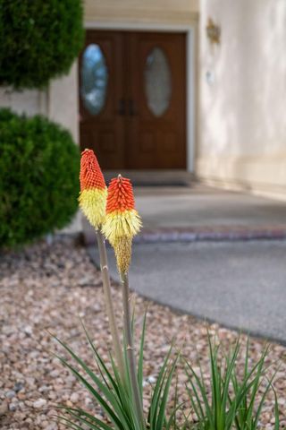 12515 Royal Winslow Place NE, Albuquerque, NM 87111