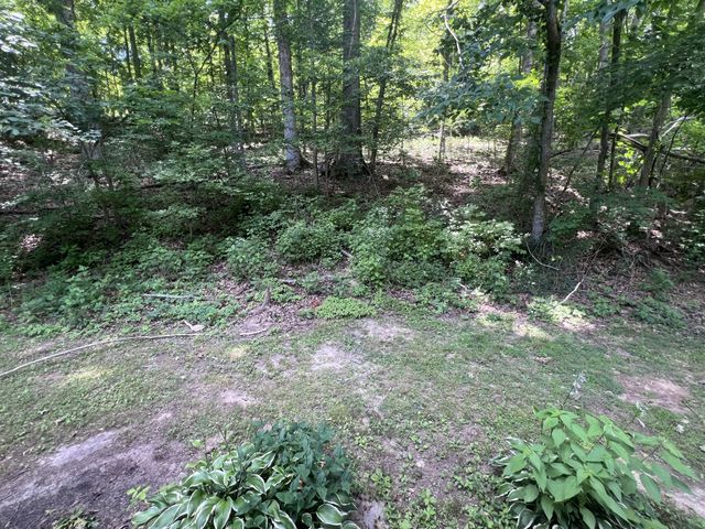 455 Beasley Hollow Rd, Linden, TN 37096