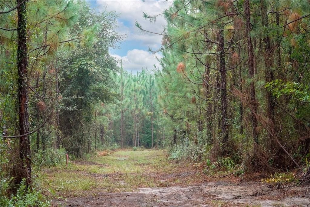 3 tract Old Saddle Way Road, Townsend, GA 31331
