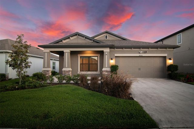 30950 PARROT REEF COURT, Wesley Chapel, FL 33545