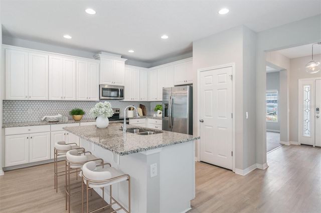 30950 PARROT REEF COURT, Wesley Chapel, FL 33545